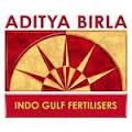 INDOGULF FERTILIZERS